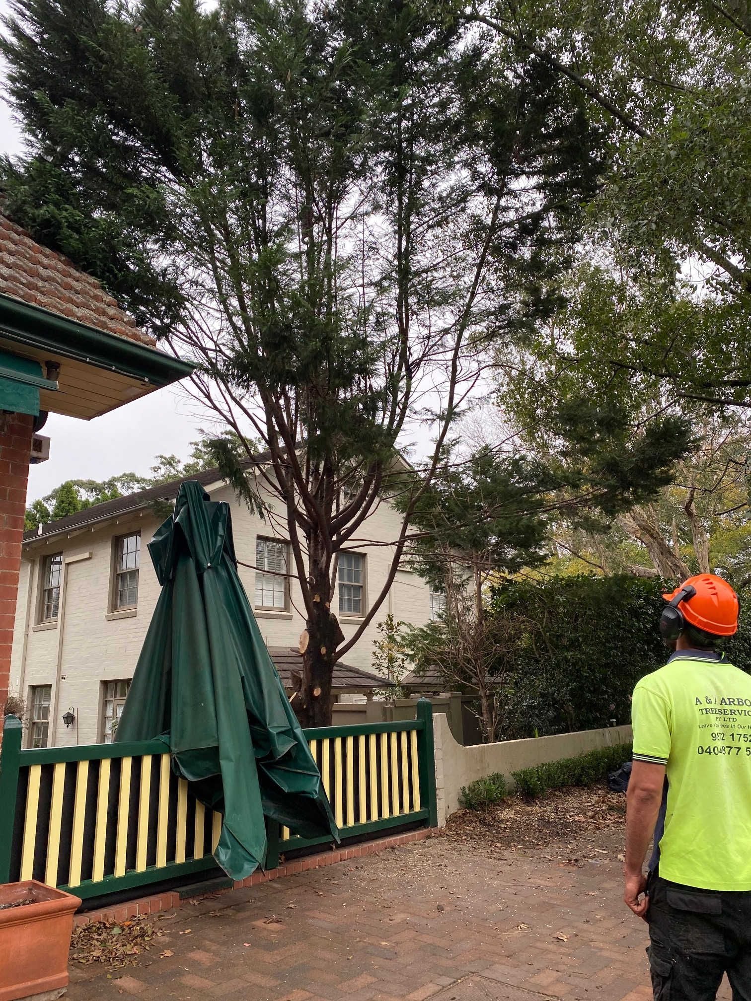 Heritage Related Services Image -5edf113841ab4